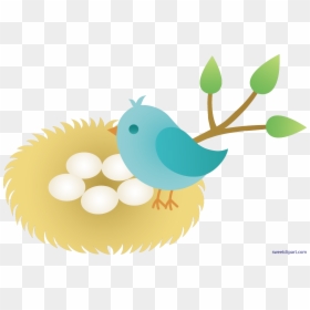 Unconditional Bird Cartoon With - Bird With Eggs Clipart, HD Png Download - nest clipart png