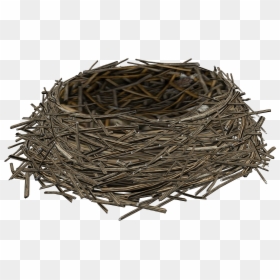 Birds Nest - Birds Nest Transparent Background, HD Png Download - nest clipart png