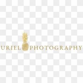 Pineapple, HD Png Download - welcome image png