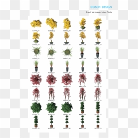 Illustration, HD Png Download - plant png images