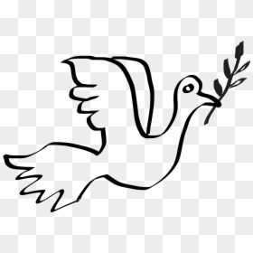 13 Best Photos Of Peace Symbols Dove Clipart - Peace Dove Clip Art, HD Png Download - peace pigeon png