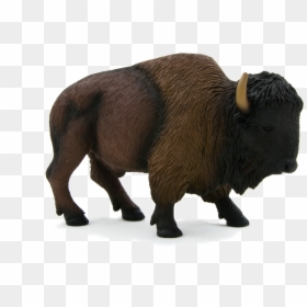 Buffalo Png Images, Transparent Png - buffalo png images