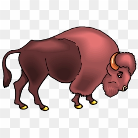 Home On The Range - Buffalo Home On The Range, HD Png Download - buffalo png images