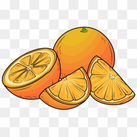 Oranges Clipart, HD Png Download - orange clipart png