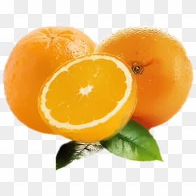 Orange Fruit Clipart Png Free Download Searchpng - Orange Fruit Clipart Png, Transparent Png - orange clipart png
