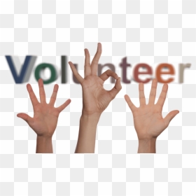 A Trustworthy Volunteer Organisation Can Lend You A - Sign, HD Png Download - volunteers png