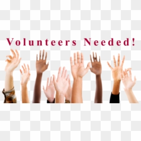 Volunteers To Represent A - Hands Up, HD Png Download - volunteers png
