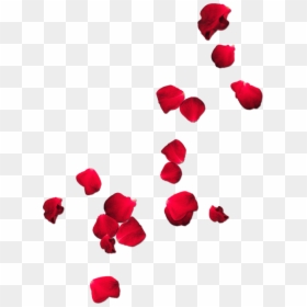 Red Png Tumblr - Transparent Background Rose Petals Png, Png Download - roses png tumblr