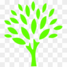 Transparent Top Of Tree Png - Go Green Auto Spa, Png Download - truffula tree png