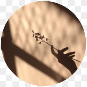 #beigeaesthetic #beige #shadow #shadows #aesthetic - Aesthetic Shadow, HD Png Download - cross shadow png