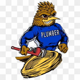 Roadrunner Plumber Roadrunner Plumber - Roadrunner Plumber, HD Png Download - plumber png