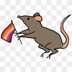 Rat Art, HD Png Download - girly tumblr png