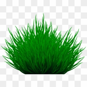 Path Clipart Grass Path, HD Png Download - grass patch png