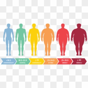 Bmi Scale, HD Png Download - obesity png