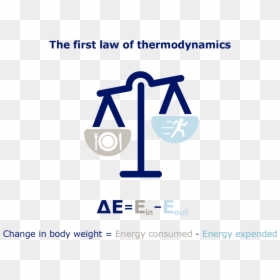 Obesity Thermodynamics - Graphic Design, HD Png Download - obesity png
