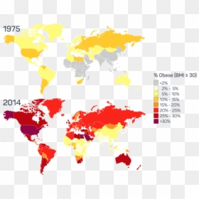 Obesity - World Map, HD Png Download - obesity png