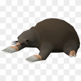 Giant Mole Osrs, HD Png Download - mole.png