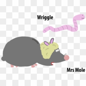 Mole So There Is No Confusion, HD Png Download - mole.png