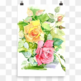 Bright And Floral Rose Watercolour Print Matte Poster - Garden Roses, HD Png Download - floral print png