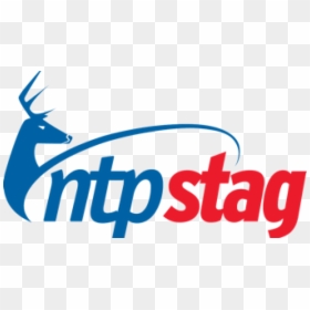 Network Time Protocol, HD Png Download - stag png