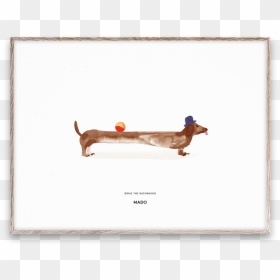 Monoplane, HD Png Download - doug png