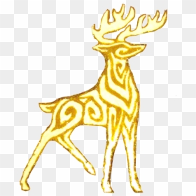 Golden Stag - Reindeer, HD Png Download - stag png