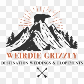 Picture - Graphic Design, HD Png Download - grizzly png
