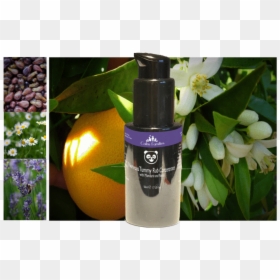 Cosmetics, HD Png Download - nervous png
