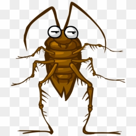 Cockroach Clipart Png, Transparent Png - cucaracha png