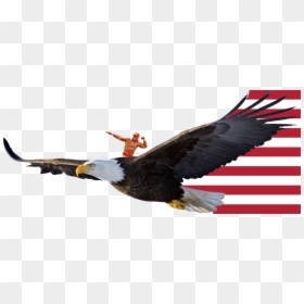 Transparent Hulk Hogan Png - Riding A Bald Eagle, Png Download - upvote png