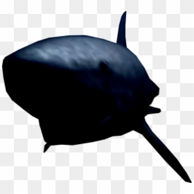Shark, HD Png Download - cucaracha png