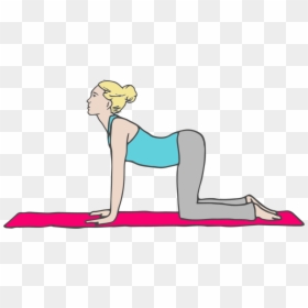 Cow Pose - Hands And Knees Pose, HD Png Download - yoga poses png