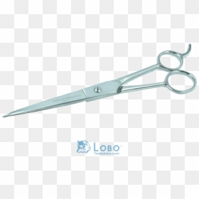 Tijera Peluquero Con Descanso Acero Inoxidable Plata, HD Png Download - tijera png