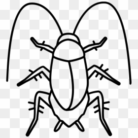 Clip Art Cockroach Drawing - Ipis Clipart Black And White, HD Png Download - cucaracha png