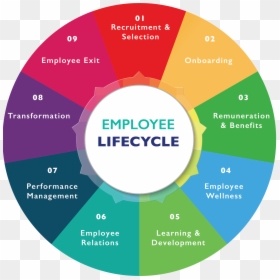 Hcm Employee Life Cycle, HD Png Download - blueprints png