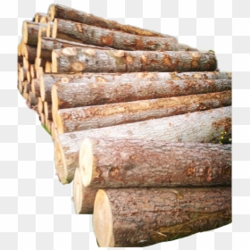 #wood #firewood #remix - Wood, HD Png Download - firewood png