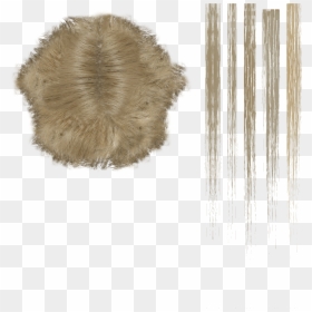 Optional Diffuse Texture, HD Png Download - fur texture png
