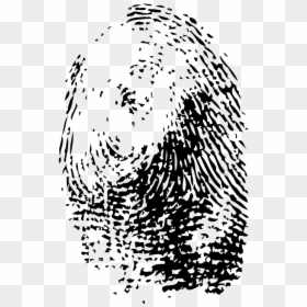 Fingerprint, HD Png Download - thumb print png