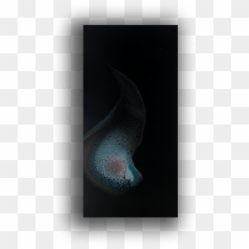 Fish, HD Png Download - thumb print png