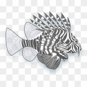 Lionfish, HD Png Download - lionfish png