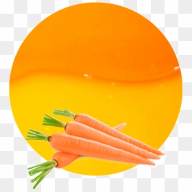 Concentrado De Zumo De Zanahoria - Carrot China, HD Png Download - zanahoria png