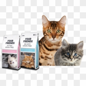 Premium Quality Cat Food - Cat Food Banner, HD Png Download - cat food png