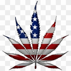 Weed Leaf, Powerful Reasons Legalize Marijuana The - Marijuana America, HD Png Download - weed logo png