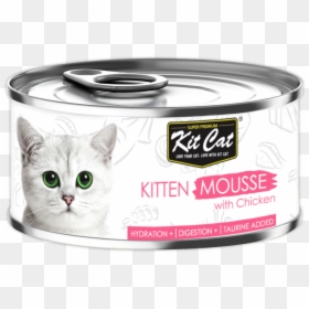 Kit Cat Wet Food Kitten, HD Png Download - cat food png