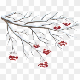 Transparent Holly Clip Art - Transparent Background Winter Clip Art, HD Png Download - holly clipart png