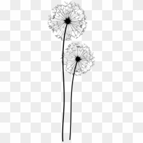 Transparent Background Dandelion Clipart, HD Png Download - tom hanks png