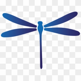 Damselfly, HD Png Download - dragon fly png
