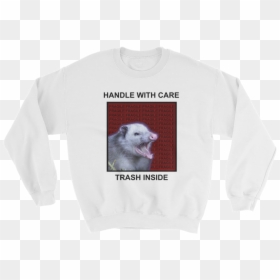 Polar Bear, HD Png Download - fragile png