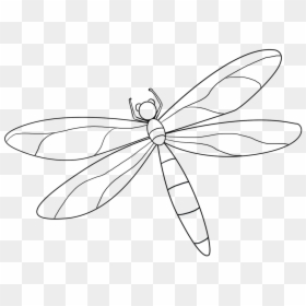 Dragonfly Drawing Beautiful Image - Dragonfly, HD Png Download - dragon fly png