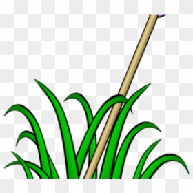 Grass Clip Art, HD Png Download - tall grass png